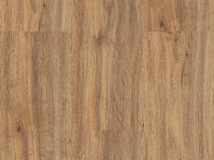 401 Weishorn (Klik & Plak)