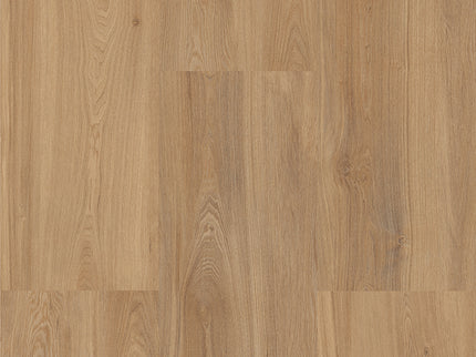 405 Strahlhorn (Klik & Plak)