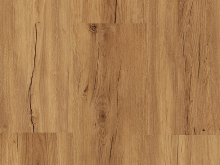 407 Schreckhorn (Klik & Plak)