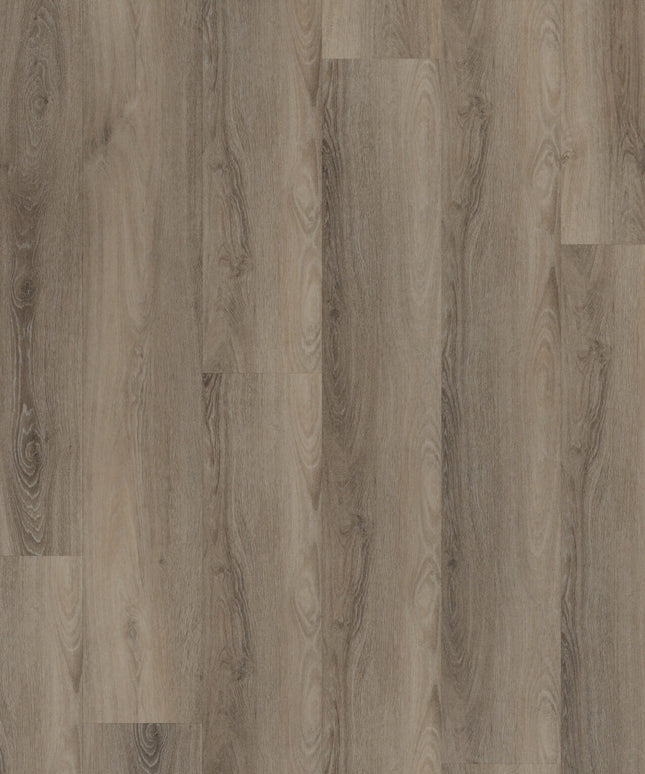 Presidential Oak (Klik & Plak)