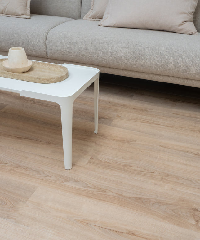 Solviere 83273 (Klik & Plak)