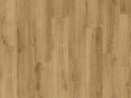 Solviere 83853 (Klik & Plak)