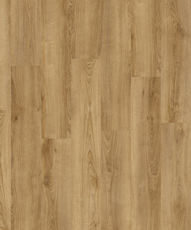 Solviere 83853 (Klik & Plak)