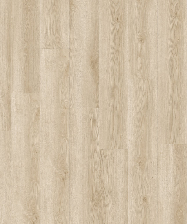 Solviere 84227 (Klik & Plak)