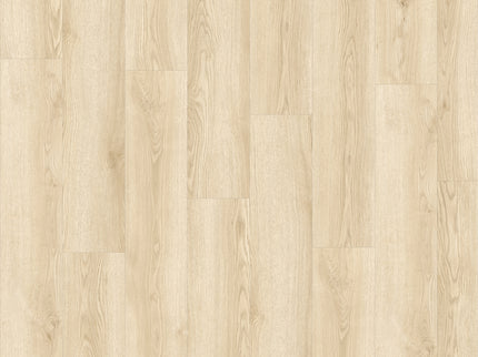 Solviere 84312 (Klik & Plak)