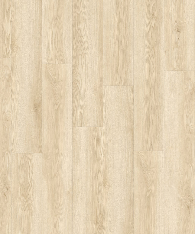 Solviere 84312 (Klik & Plak)