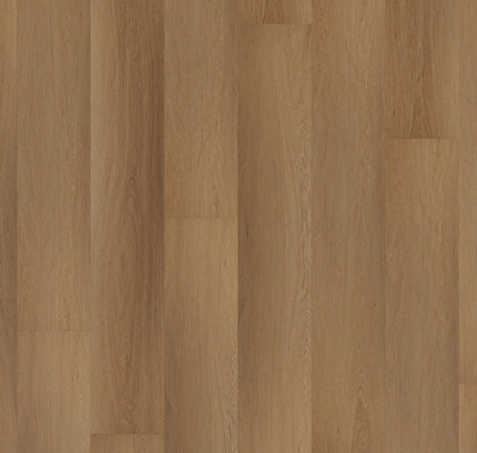 Western Hemlock (Klik & Plak)