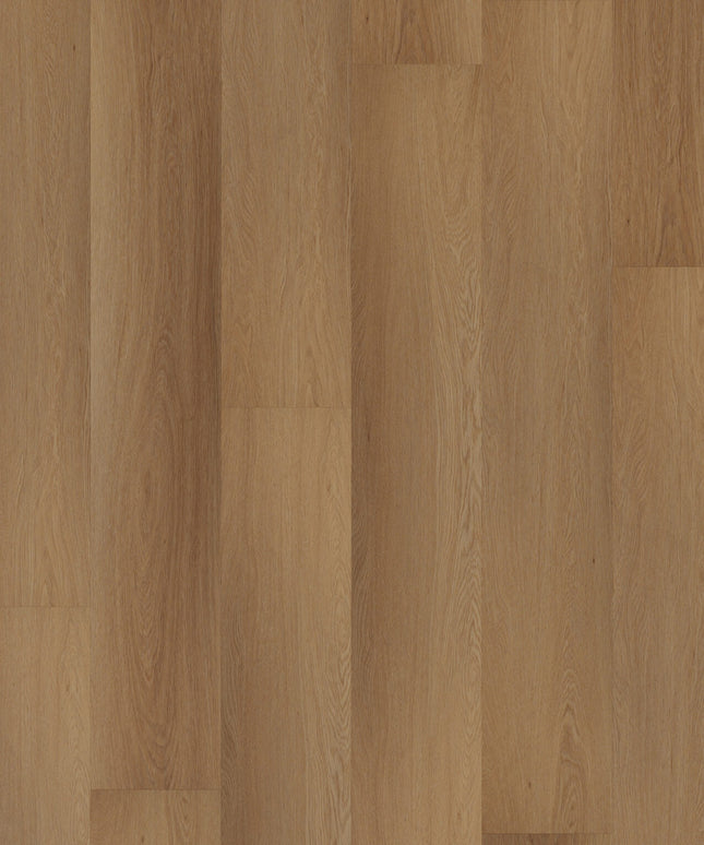 Western Hemlock (Klik & Plak)