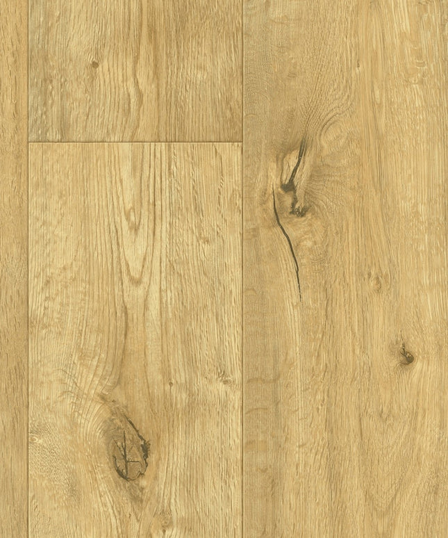 Woodland 532 (4 meter breed)