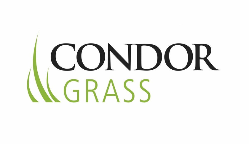 Condor Grass