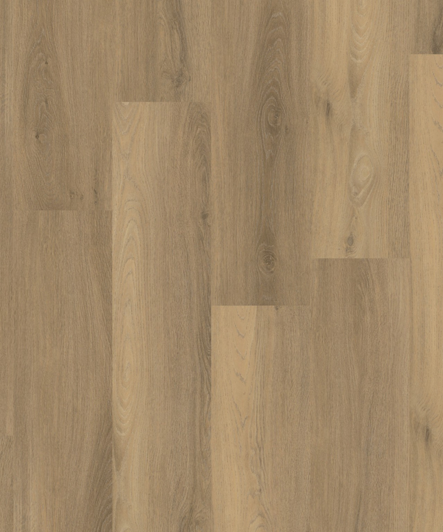 Paddington Natural (Klik & Plak)