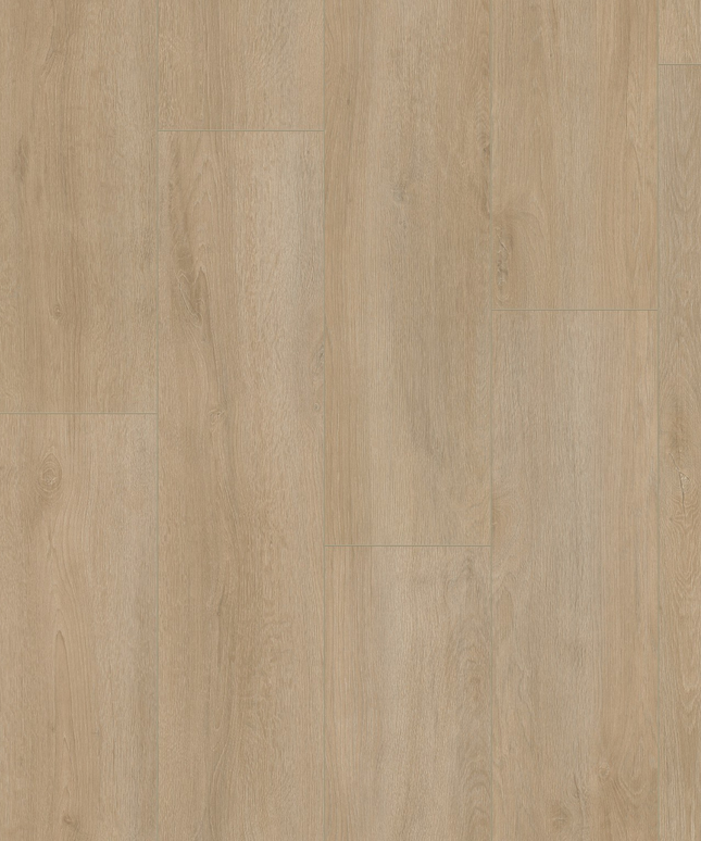 Norwood Collectie - Staaltjes