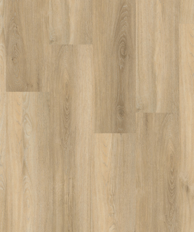 Paddington Beige (Klik & Plak)