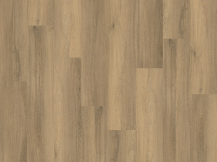 Paddington Natural (Klik & Plak)