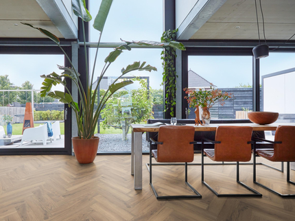 Bayside eiken natuur