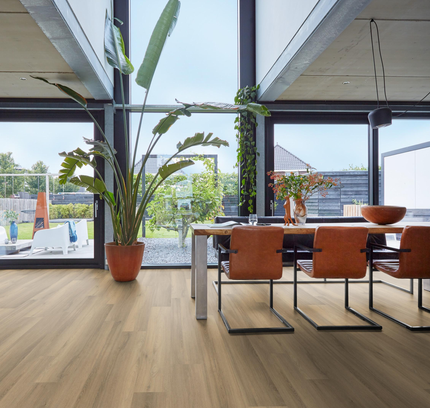 Paddington Natural (Klik & Plak)