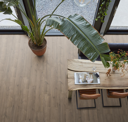 Forest Hills grijsbruin eiken