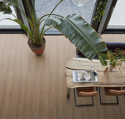 Parramatta Dark Oak (Klik & Plak)