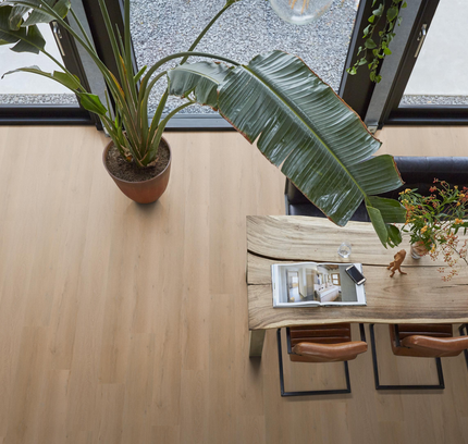 Leyton Warm Oak (Klik & Plak)