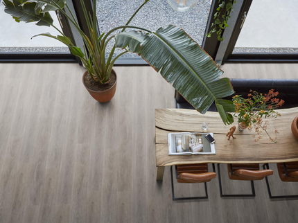 Parramatta Grey Oak (Klik & Plak)