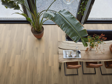 Paddington Natural (Klik & Plak)