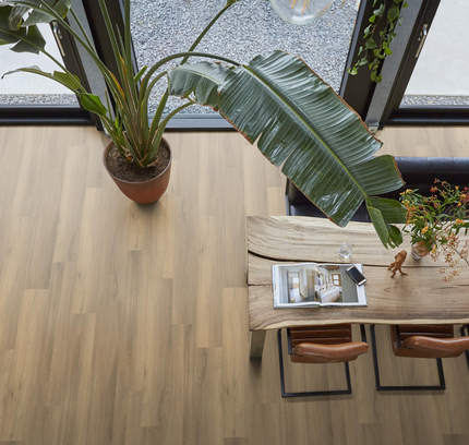 Paddington Natural (Klik & Plak)