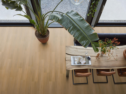 Newham Dark Oak (Klik & Plak)