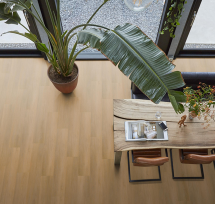 Newham Dark Oak (Klik & Plak)