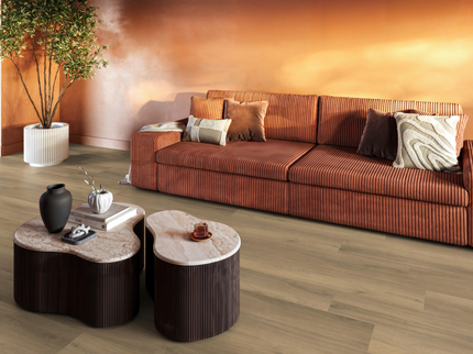 Paddington Natural (Klik & Plak)