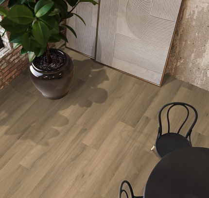 Paddington Natural (Klik & Plak)