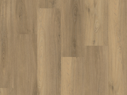 Paddington Natural (Klik & Plak)